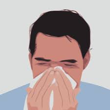 علاج الانفلونزا بالاعشاب